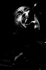 Paul Jones en concert ©Nicolas Botti